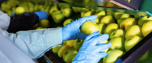 Food processing and distribution