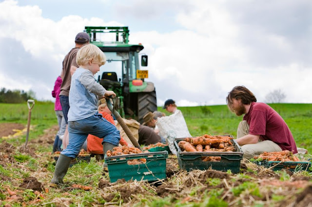 Community-supported agriculture (CSA)