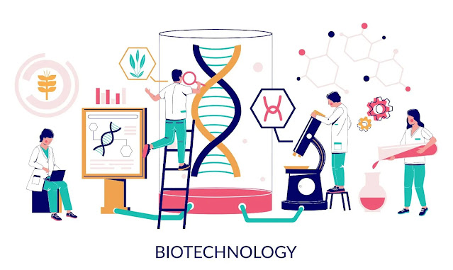 Develop a strong understanding of the biotech industry Develop a strong understanding of the biotech industry