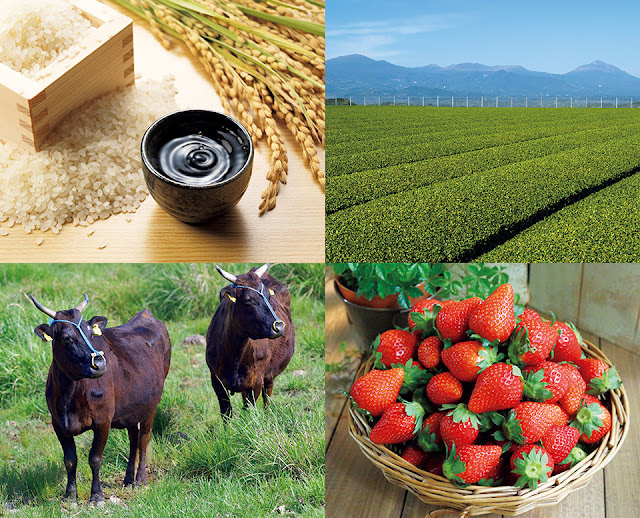 Agricultural products processing and export in Odisha Agricultural products processing and export in Odisha